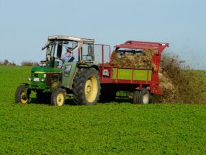 agriculture-62417_640[1]